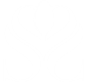 thesaltyspoon.pages.dev favicon